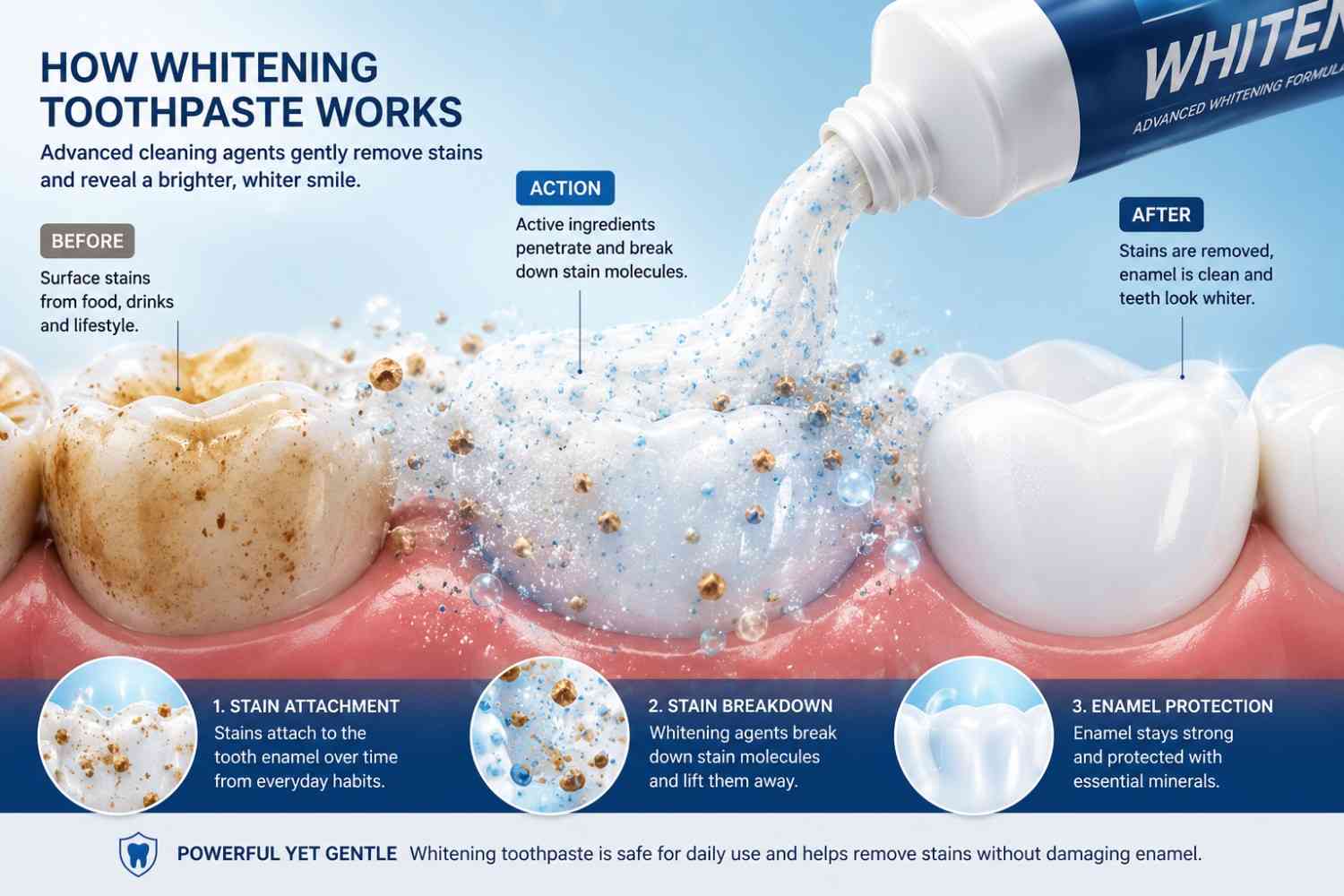 whitening toothpaste mechanism enamel stain removal