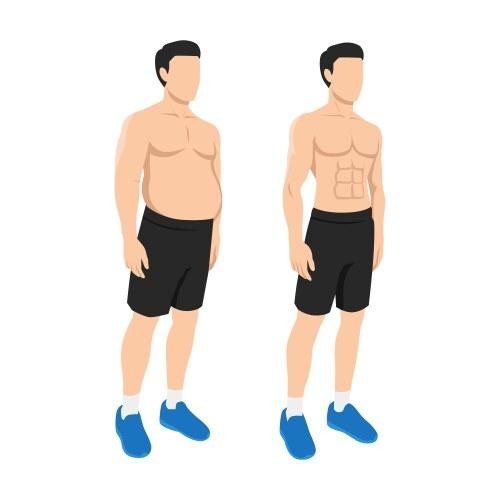 Illustration showing sustainable body fat loss while maintaining muscle